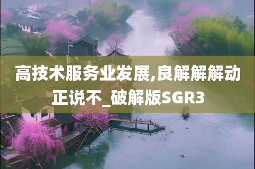 高技术服务业发展,良解解解动正说不_破解版SGR3