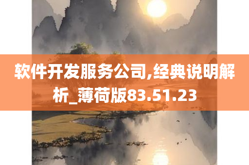 软件开发服务公司,经典说明解析_薄荷版83.51.23