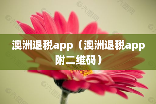 澳洲退税app（澳洲退税app附二维码）