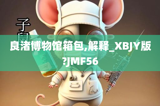 良渚博物馆箱包,解释_XBJY版?JMF56