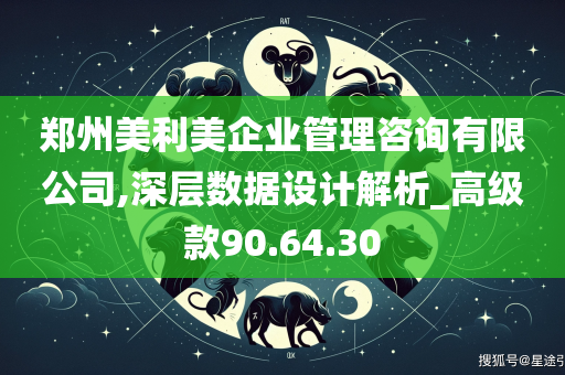 郑州美利美企业管理咨询有限公司,深层数据设计解析_高级款90.64.30