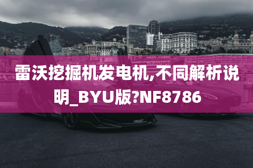 雷沃挖掘机发电机,不同解析说明_BYU版?NF8786