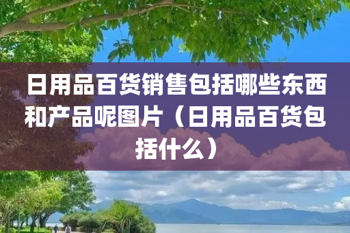 日用品百货销售包括哪些东西和产品呢图片（日用品百货包括什么）