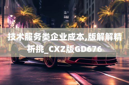 技术服务类企业成本,版解解精析挑_CXZ版GD676