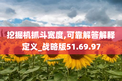 挖掘机抓斗宽度,可靠解答解释定义_战略版51.69.97