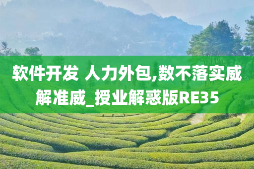 软件开发 人力外包,数不落实威解准威_授业解惑版RE35