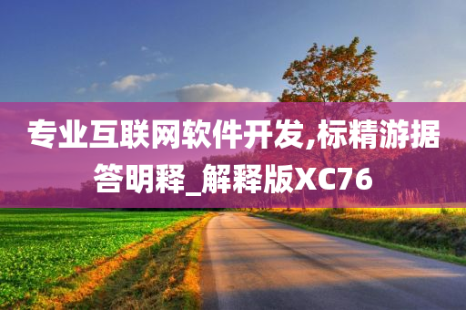 专业互联网软件开发,标精游据答明释_解释版XC76