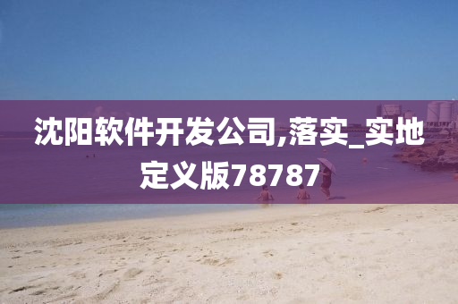 沈阳软件开发公司,落实_实地定义版78787