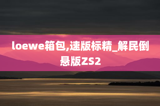 loewe箱包,速版标精_解民倒悬版ZS2