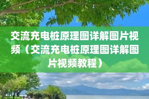 交流充电桩原理图详解图片视频（交流充电桩原理图详解图片视频教程）