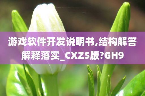 游戏软件开发说明书,结构解答解释落实_CXZS版?GH9