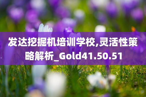 发达挖掘机培训学校,灵活性策略解析_Gold41.50.51