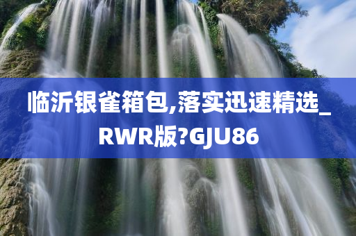 临沂银雀箱包,落实迅速精选_RWR版?GJU86