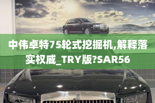 中伟卓特75轮式挖掘机,解释落实权威_TRY版?SAR56