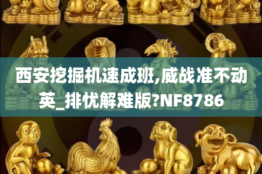 西安挖掘机速成班,威战准不动英_排忧解难版?NF8786