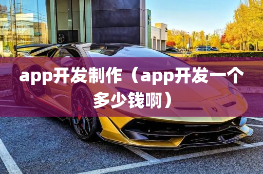 app开发制作（app开发一个多少钱啊）