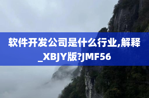 软件开发公司是什么行业,解释_XBJY版?JMF56