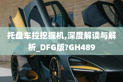 托盘车拉挖掘机,深度解读与解析_DFG版?GH489