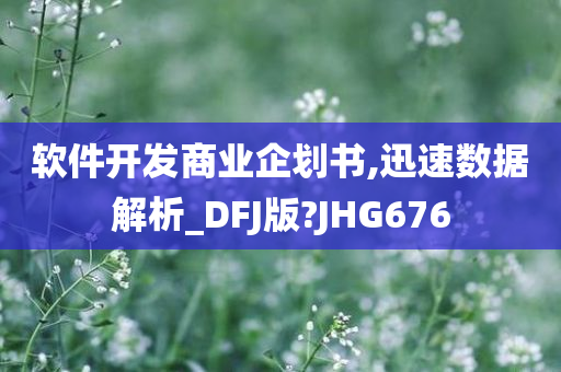 软件开发商业企划书,迅速数据解析_DFJ版?JHG676