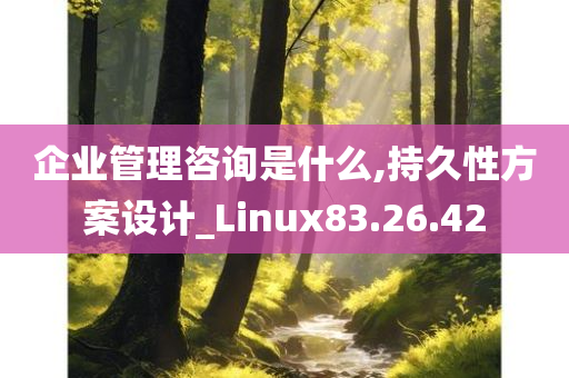 企业管理咨询是什么,持久性方案设计_Linux83.26.42