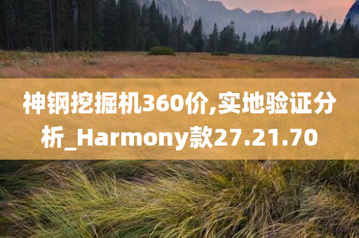 神钢挖掘机360价,实地验证分析_Harmony款27.21.70