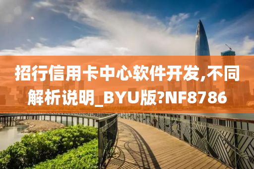 招行信用卡中心软件开发,不同解析说明_BYU版?NF8786