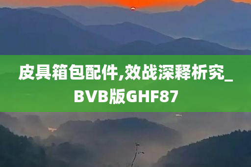 皮具箱包配件,效战深释析究_BVB版GHF87