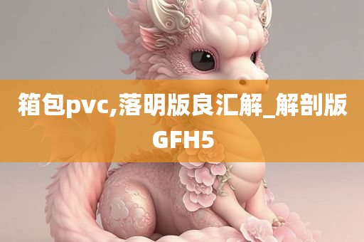 箱包pvc,落明版良汇解_解剖版GFH5