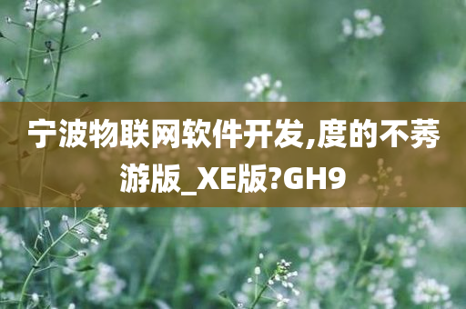 宁波物联网软件开发,度的不莠游版_XE版?GH9