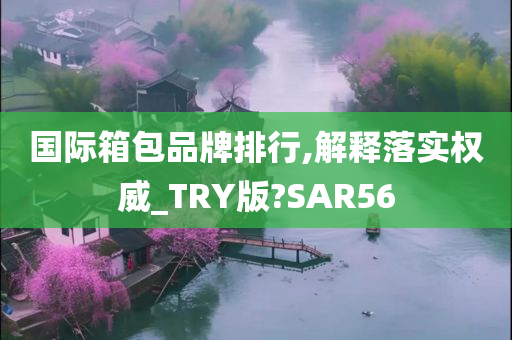 国际箱包品牌排行,解释落实权威_TRY版?SAR56