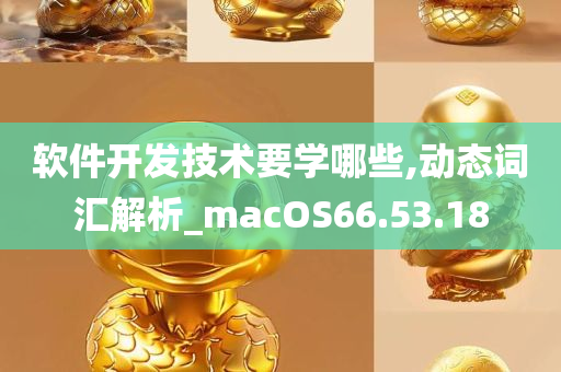 软件开发技术要学哪些,动态词汇解析_macOS66.53.18