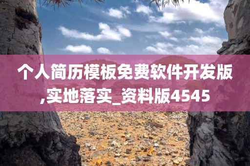 个人简历模板免费软件开发版,实地落实_资料版4545