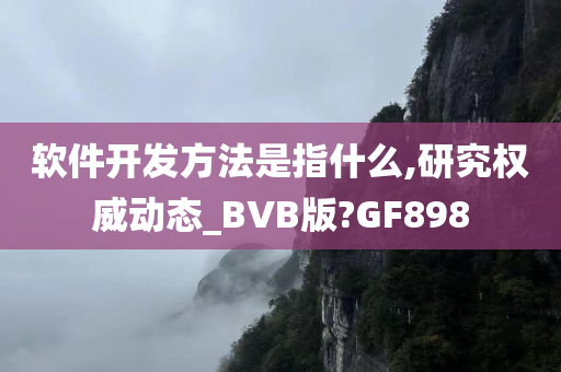 软件开发方法是指什么,研究权威动态_BVB版?GF898