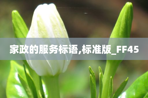 家政的服务标语,标准版_FF45