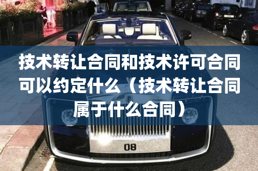 技术转让合同和技术许可合同可以约定什么（技术转让合同属于什么合同）