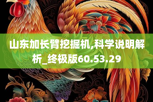 山东加长臂挖掘机,科学说明解析_终极版60.53.29