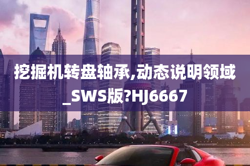 挖掘机转盘轴承,动态说明领域_SWS版?HJ6667