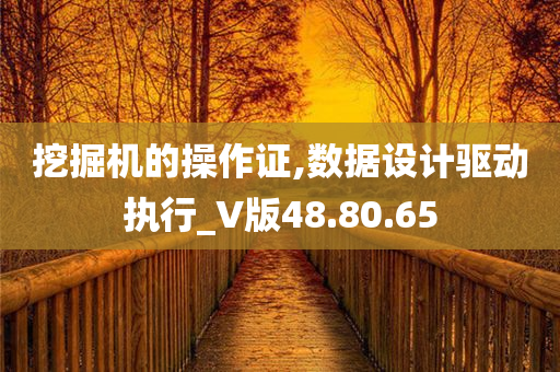 挖掘机的操作证,数据设计驱动执行_V版48.80.65