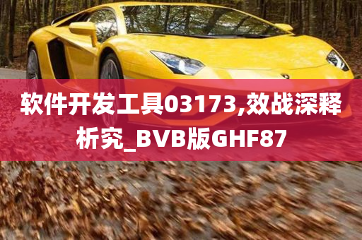 软件开发工具03173,效战深释析究_BVB版GHF87