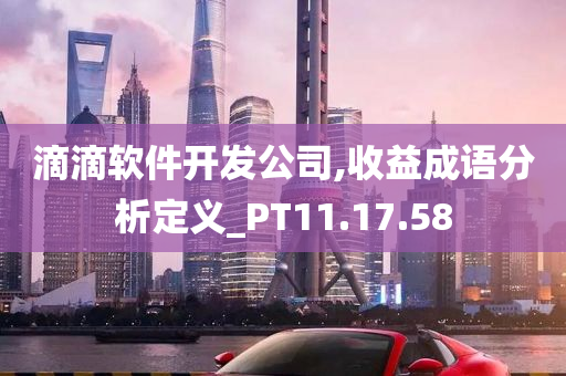 滴滴软件开发公司,收益成语分析定义_PT11.17.58