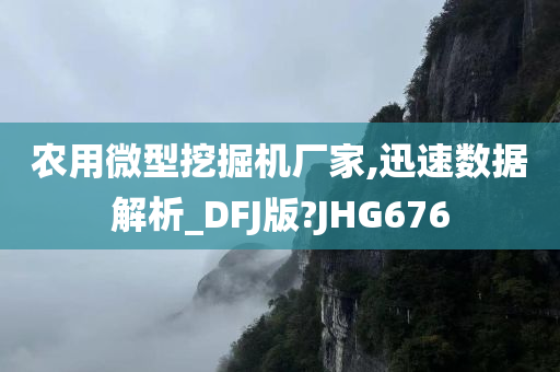 农用微型挖掘机厂家,迅速数据解析_DFJ版?JHG676