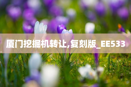 厦门挖掘机转让,复刻版_EE533