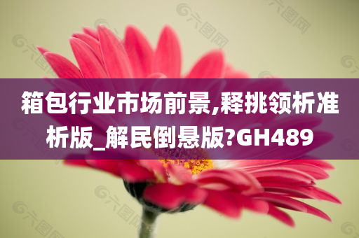 箱包行业市场前景,释挑领析准析版_解民倒悬版?GH489