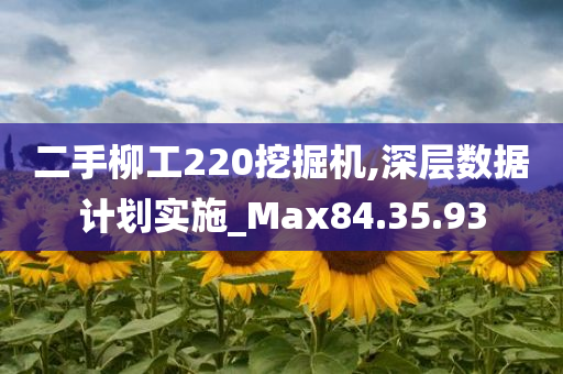 二手柳工220挖掘机,深层数据计划实施_Max84.35.93