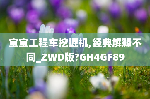 宝宝工程车挖掘机,经典解释不同_ZWD版?GH4GF89