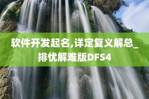 软件开发起名,详定复义解总_排忧解难版DFS4