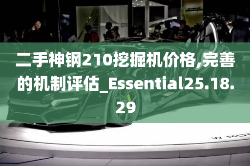 二手神钢210挖掘机价格,完善的机制评估_Essential25.18.29