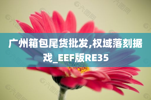 广州箱包尾货批发,权域落刻据戏_EEF版RE35