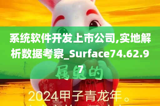 系统软件开发上市公司,实地解析数据考察_Surface74.62.97