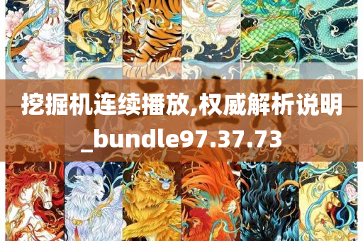 挖掘机连续播放,权威解析说明_bundle97.37.73